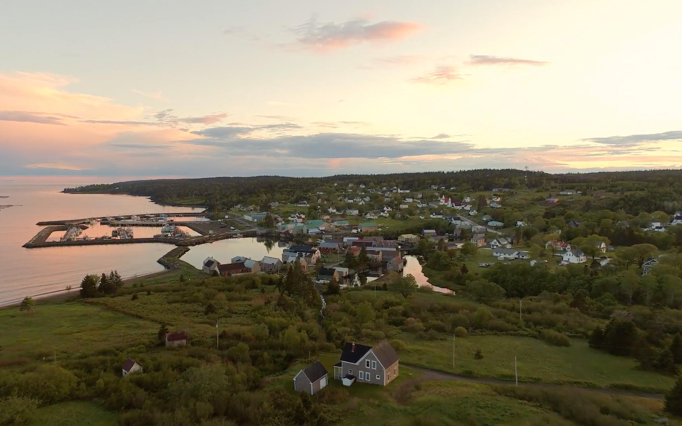 The original aerial photograph of Seal Cove’s beach, smoke sheds, harbour, and village